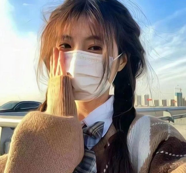 棕榈树森林